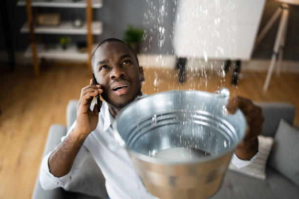 Best Residential water damage restoration  in USA